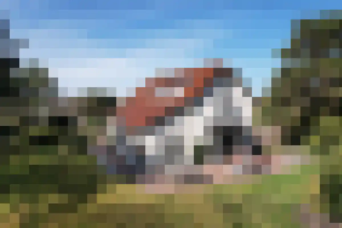 Beethovenweg 37 Noordwijk thumbnail 47