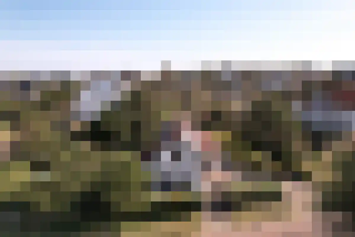 Beethovenweg 37 Noordwijk thumbnail 48