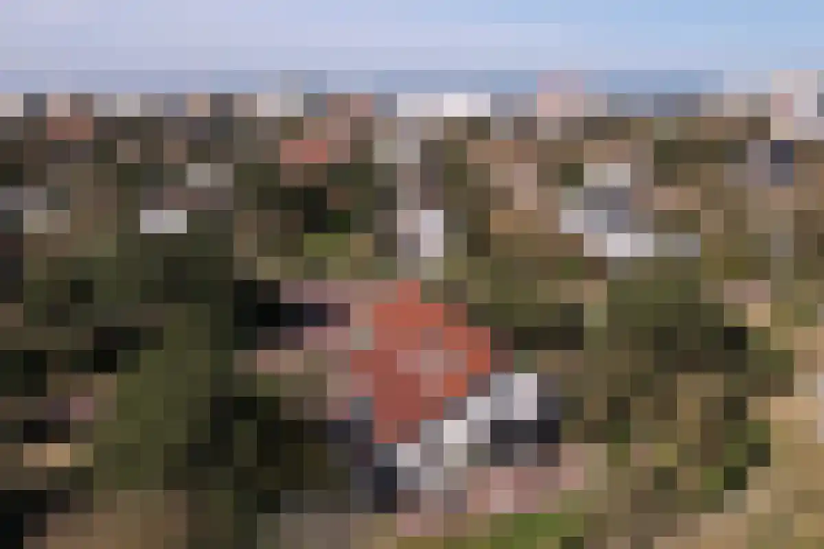 Beethovenweg 37 Noordwijk thumbnail 53