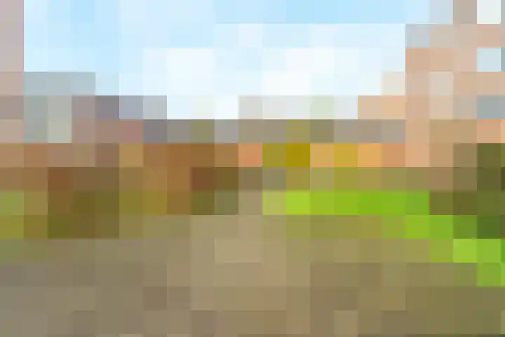 Beethovenweg 4 D Amersfoort thumbnail 24