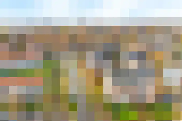 Beethovenweg 4 D Amersfoort thumbnail 4