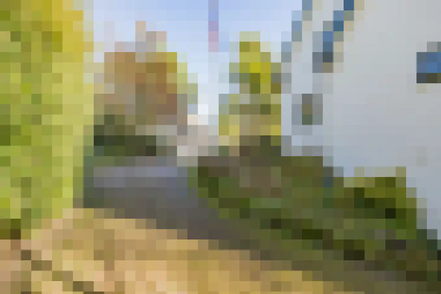 Beethovenweg 50 Noordwijk thumbnail 77