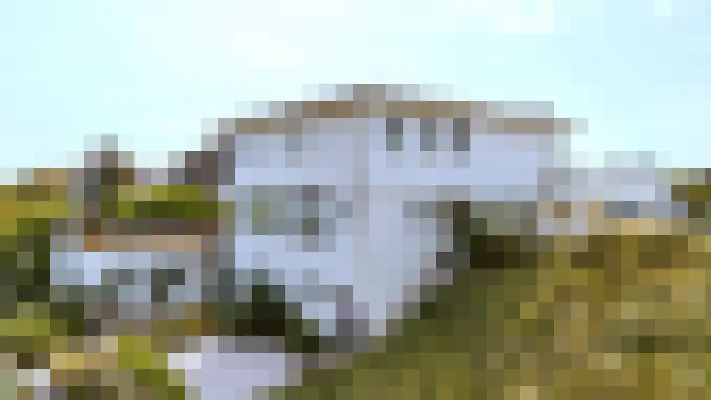 Beethovenweg 8 Noordwijk thumbnail 30