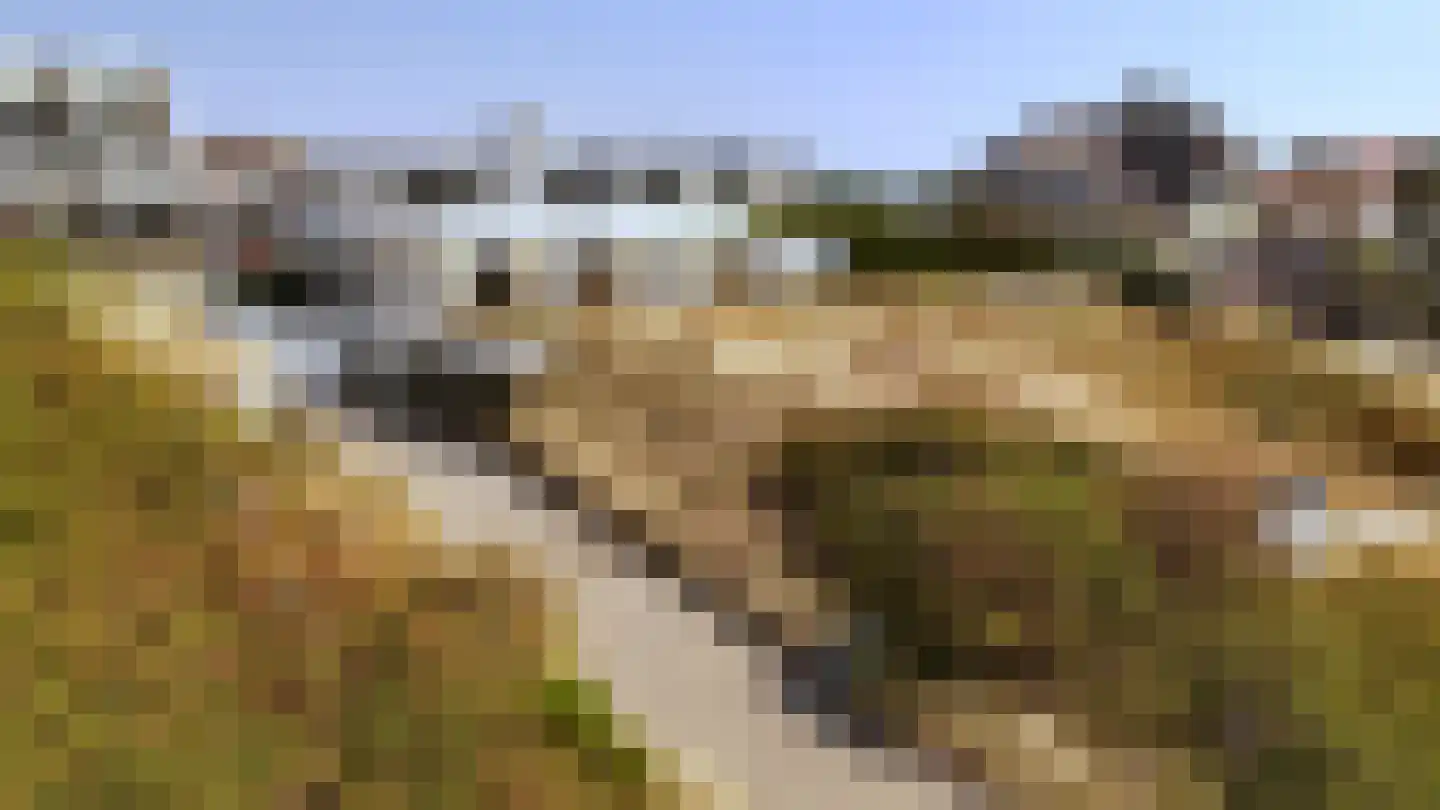 Beethovenweg 8 Noordwijk thumbnail 51