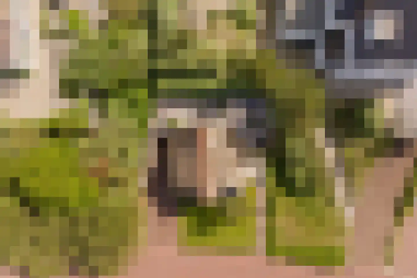 Beethovenweg 9 Noordwijk thumbnail 37