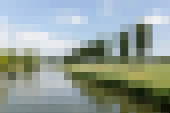 Beets 123 a Beets thumbnail 7