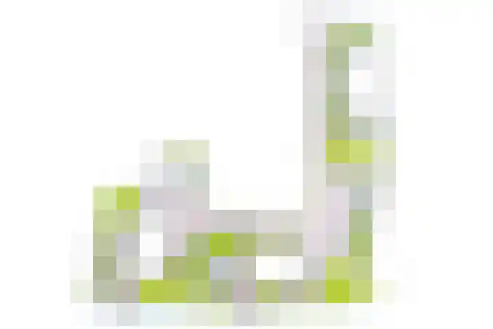 Beets 123 c Beets thumbnail 5