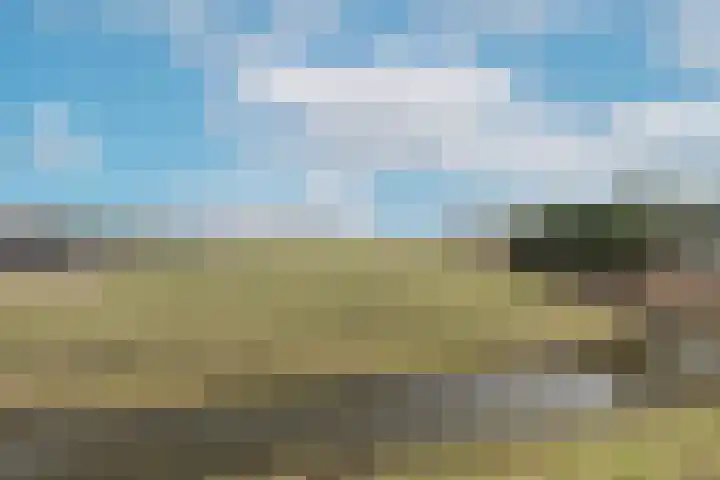 Beets 136 Beets thumbnail 27