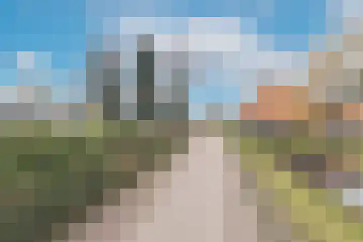 Beets 136 Beets thumbnail 28