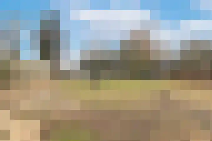 Beets 136 Beets thumbnail 29