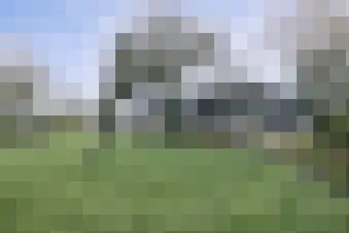Beets 136 Beets thumbnail 31
