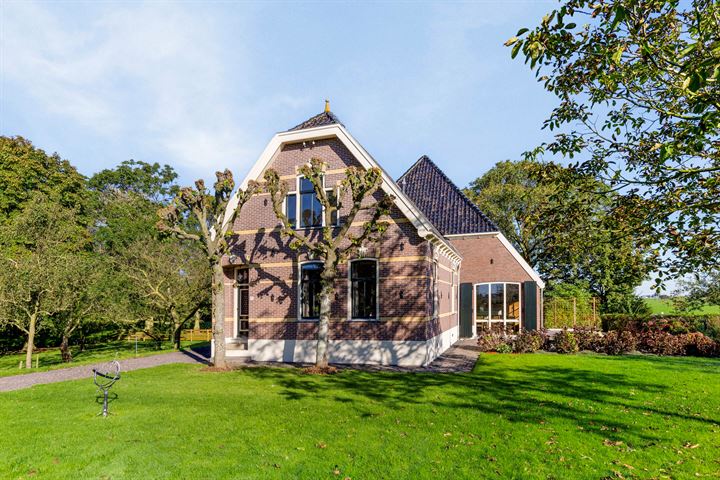 Beets 19 dans Beets photo