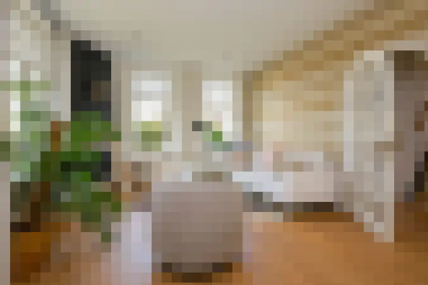 Beets 57 Beets thumbnail 16