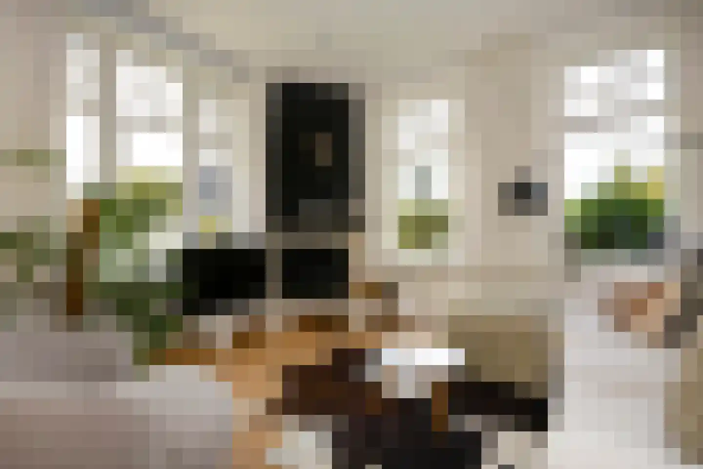 Beets 57 Beets thumbnail 17