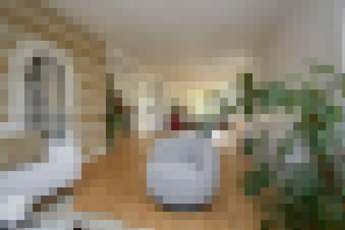 Beets 57 Beets thumbnail 18