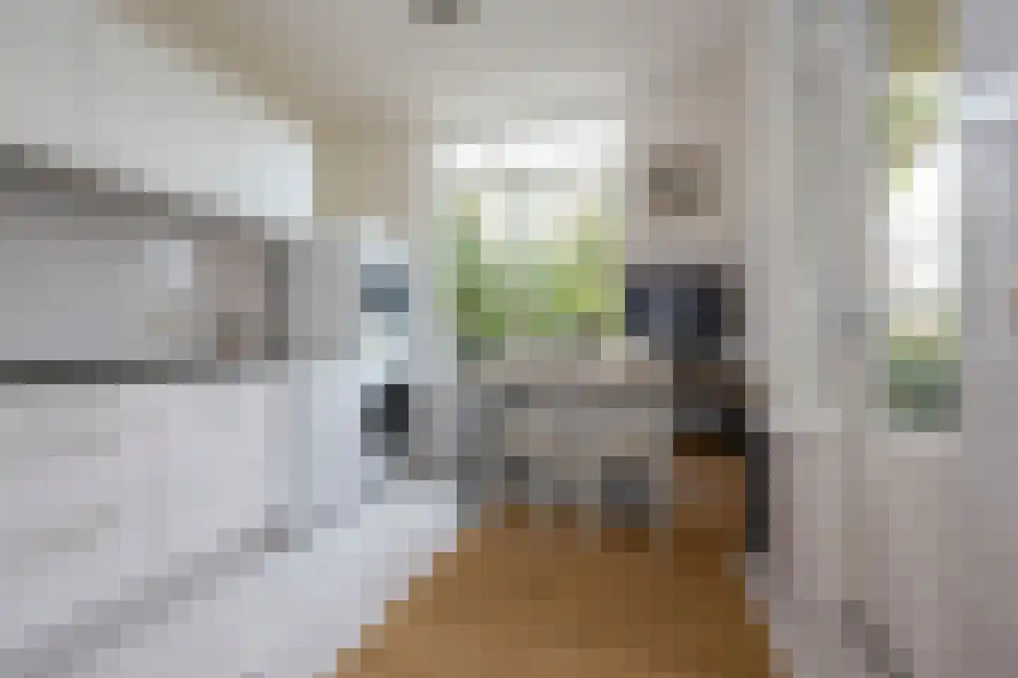 Beets 57 Beets thumbnail 28