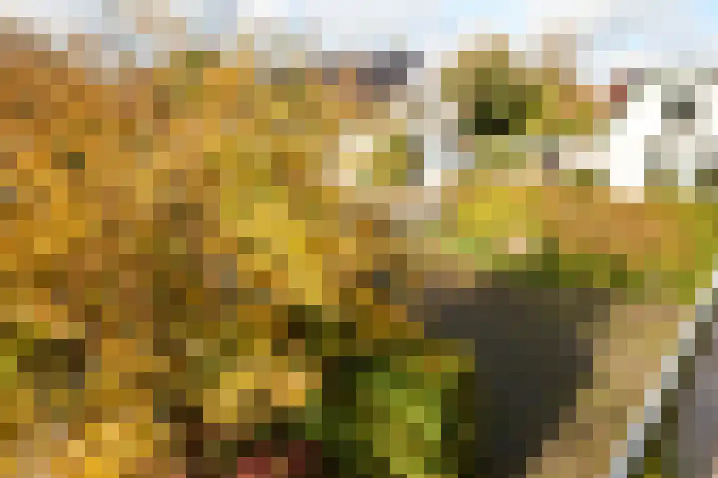 Beets 57 Beets thumbnail 44