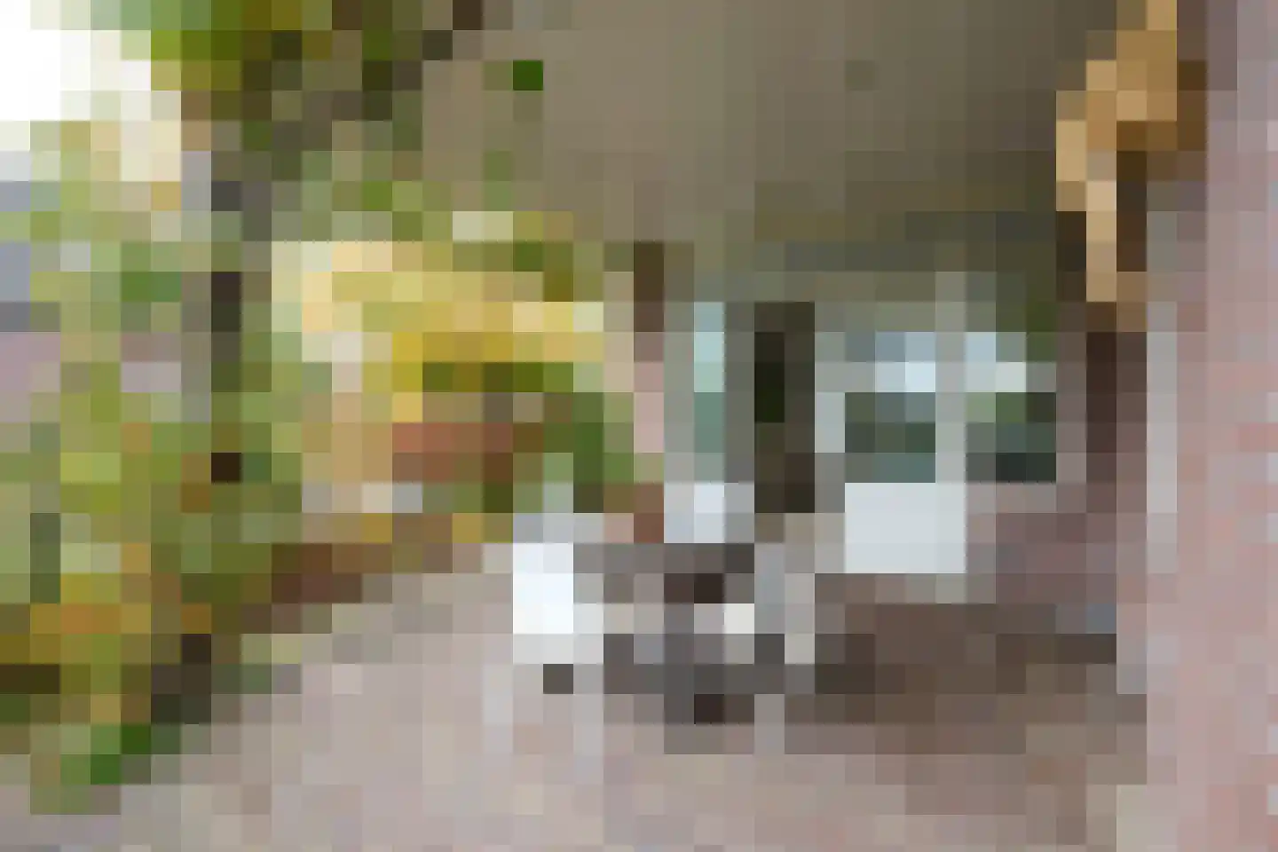 Beets 57 Beets thumbnail 64