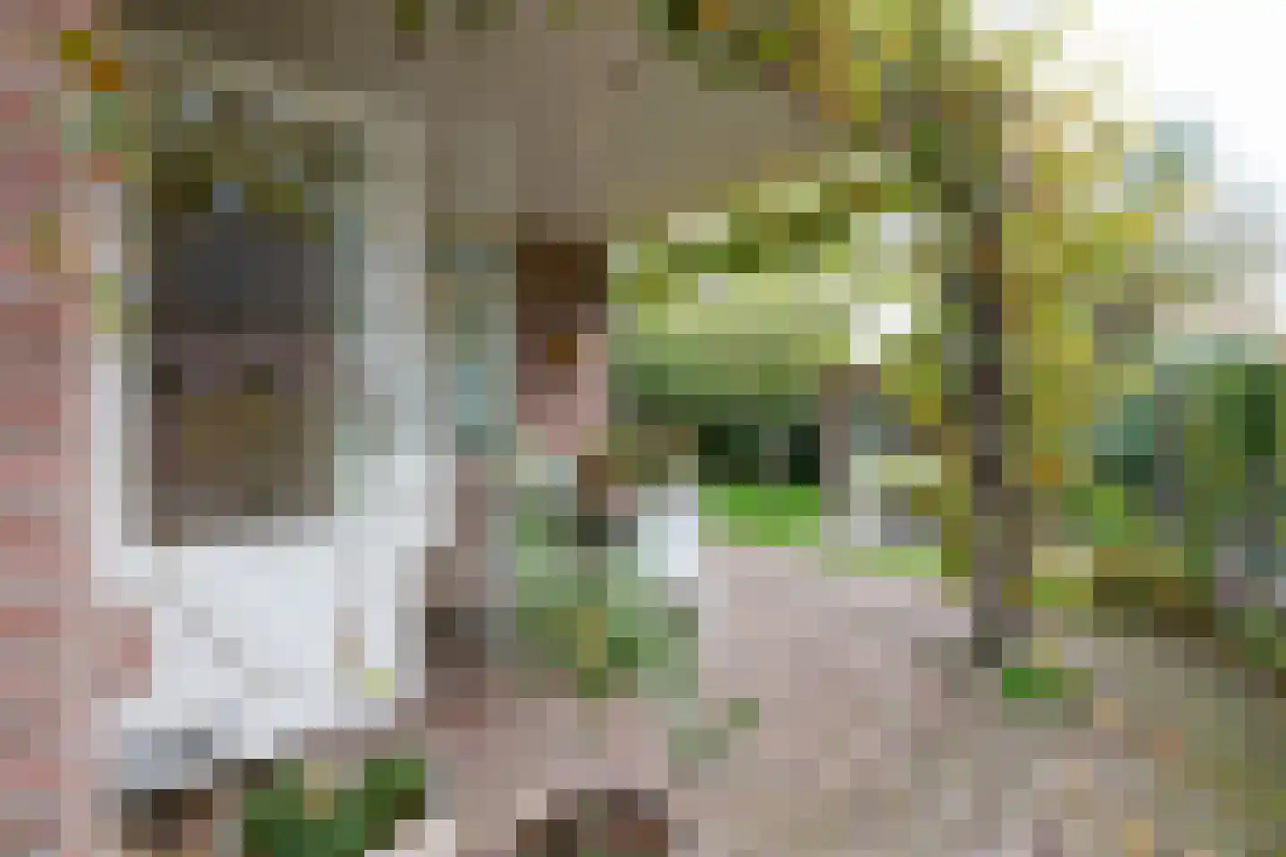 Beets 57 Beets thumbnail 65