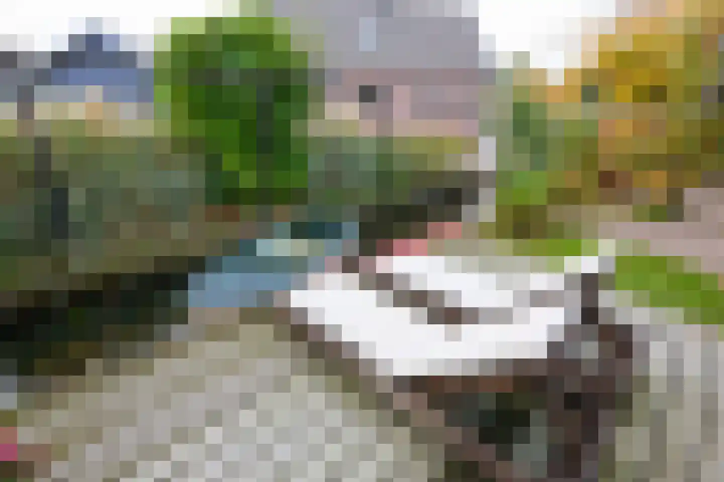 Beets 57 Beets thumbnail 68