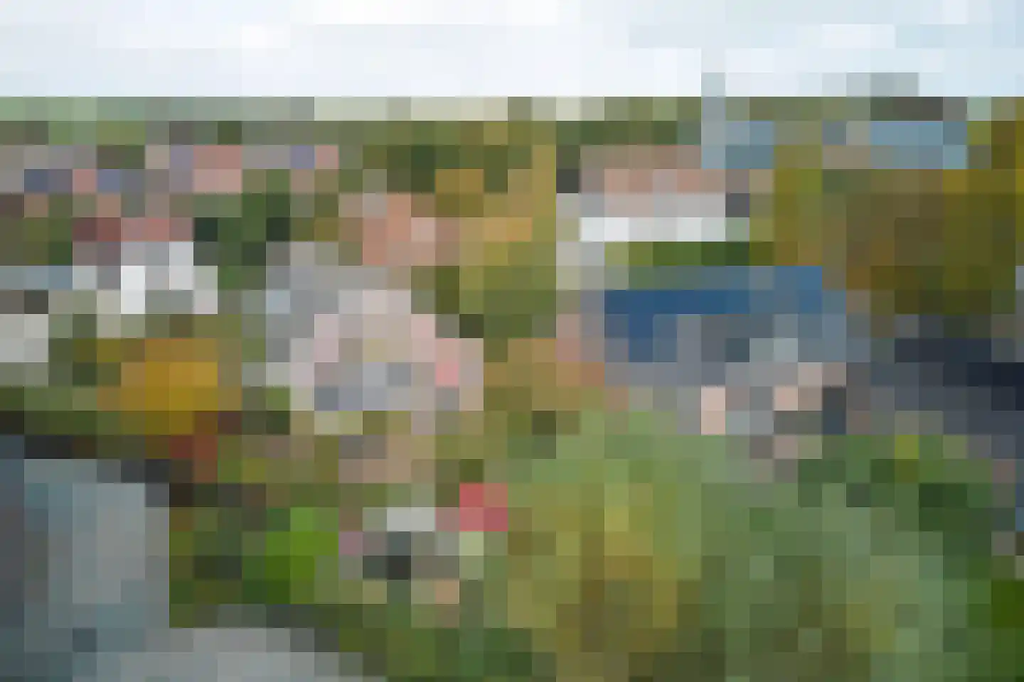 Beets 57 Beets thumbnail 69