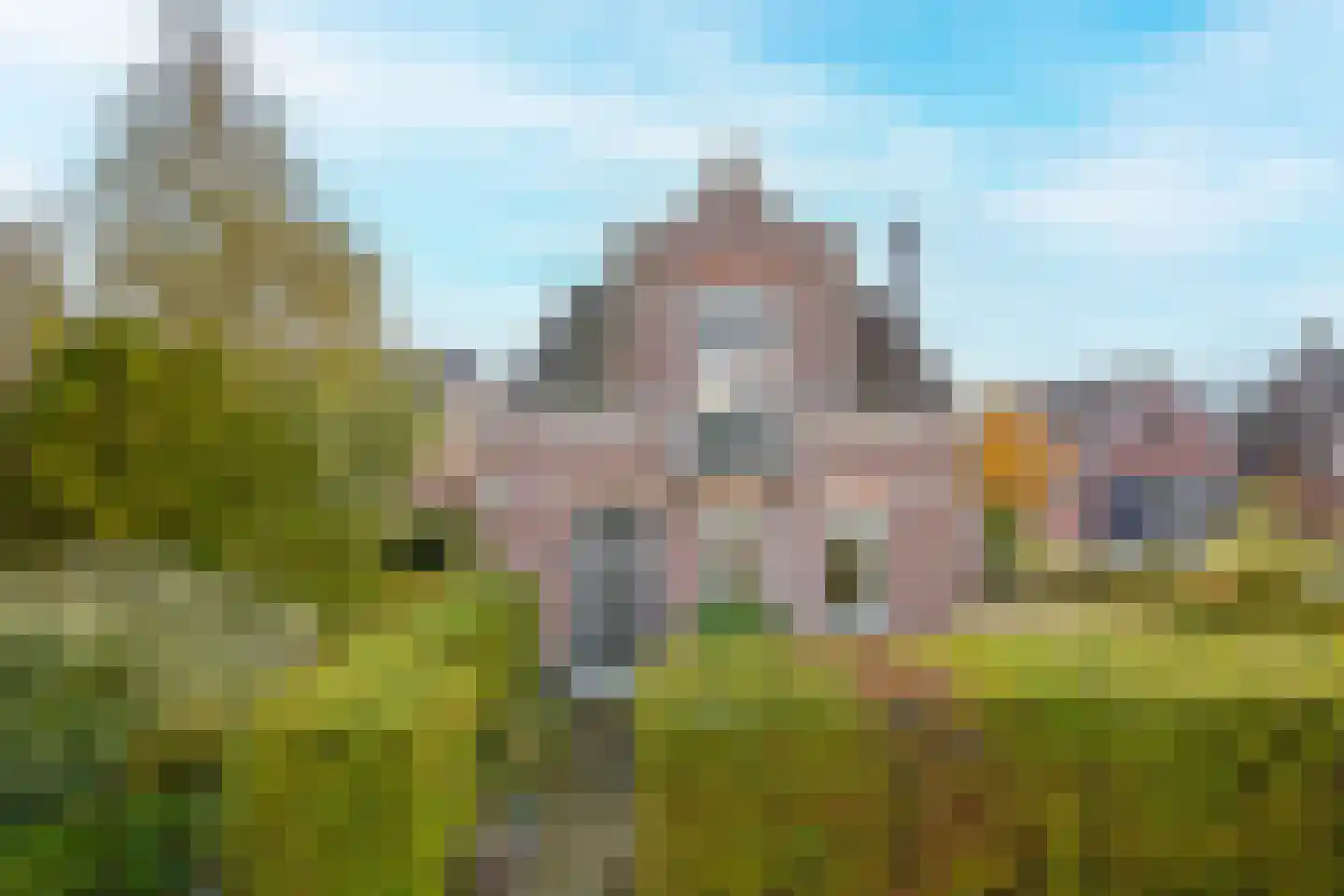 Beets 57 Beets thumbnail 7
