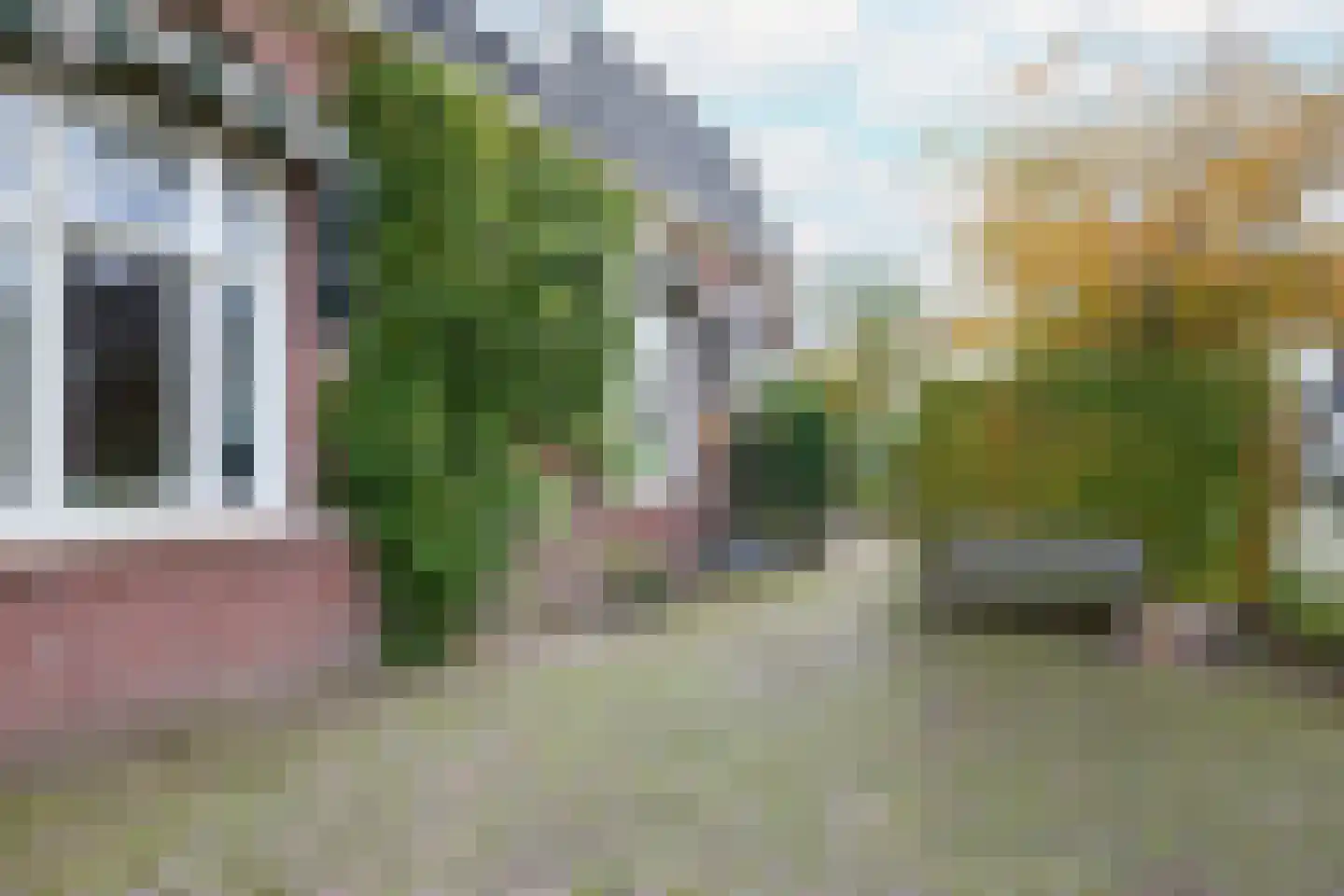 Beets 57 Beets thumbnail 71