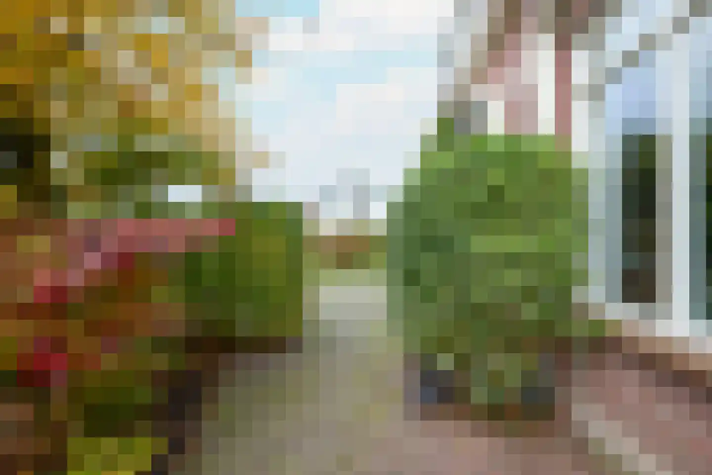 Beets 57 Beets thumbnail 72