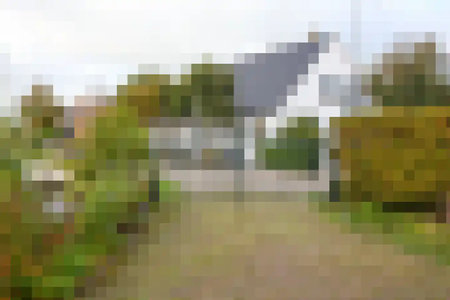 Beets 57 Beets thumbnail 73