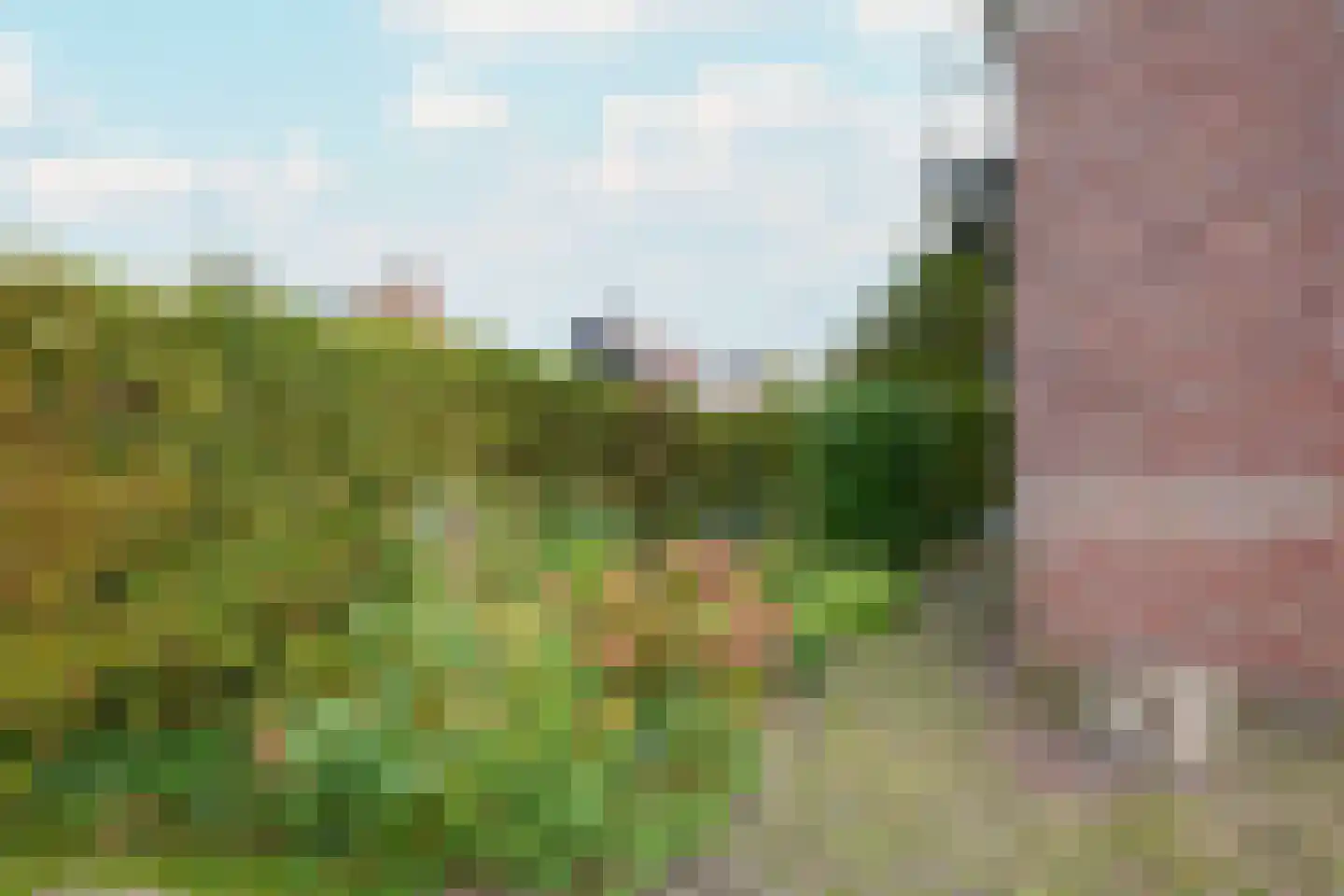 Beets 57 Beets thumbnail 75