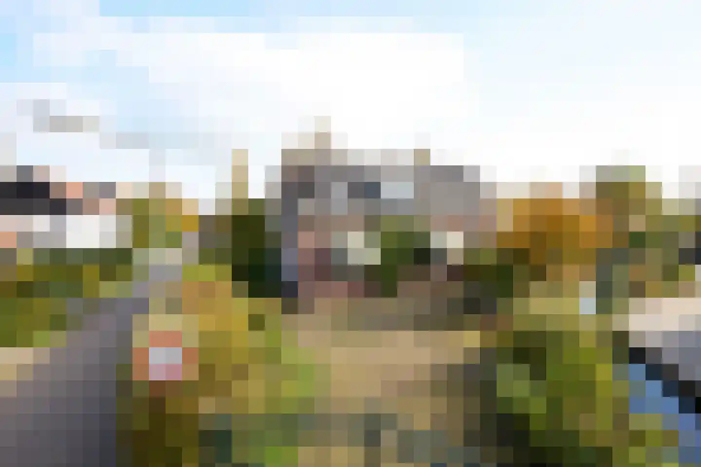 Beets 57 Beets thumbnail 76
