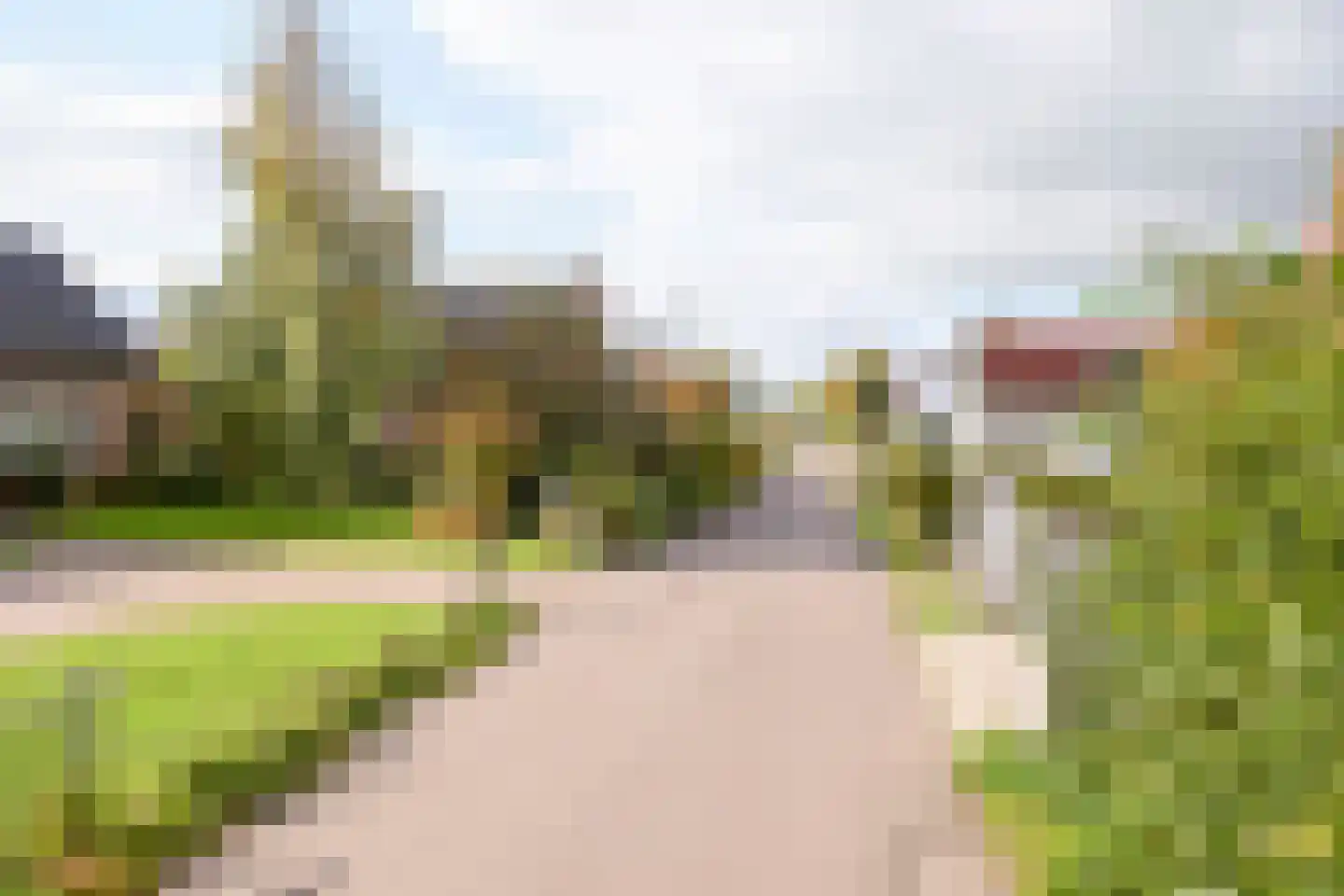 Beets 57 Beets thumbnail 77