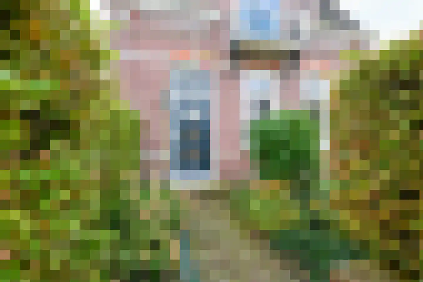 Beets 57 Beets thumbnail 8
