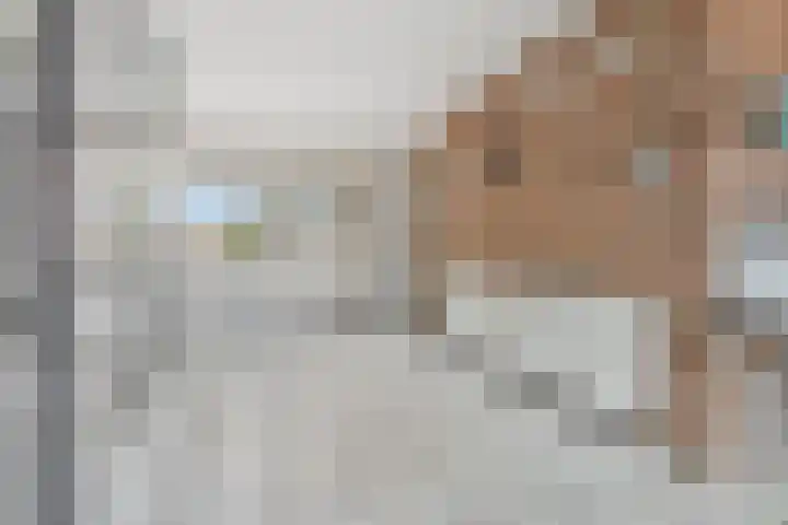 Beetserweg 100 Sellingen thumbnail 24