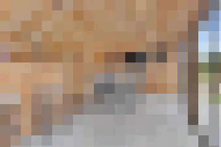Beetserweg 100 Sellingen thumbnail 33