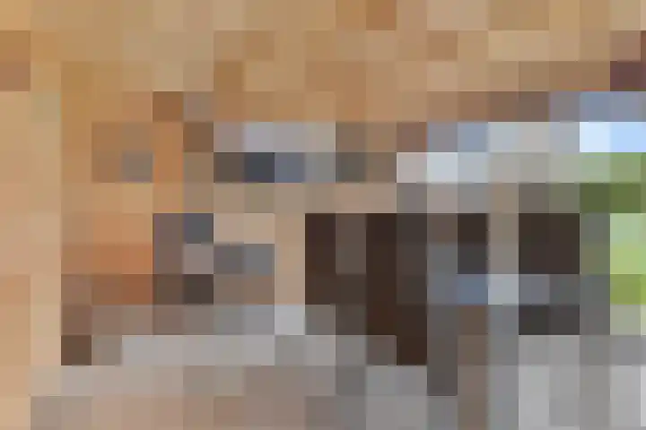 Beetserweg 100 Sellingen thumbnail 34