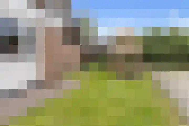 Beetserweg 100 Sellingen thumbnail 35