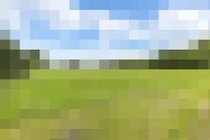 Beetserweg 100 Sellingen thumbnail 38