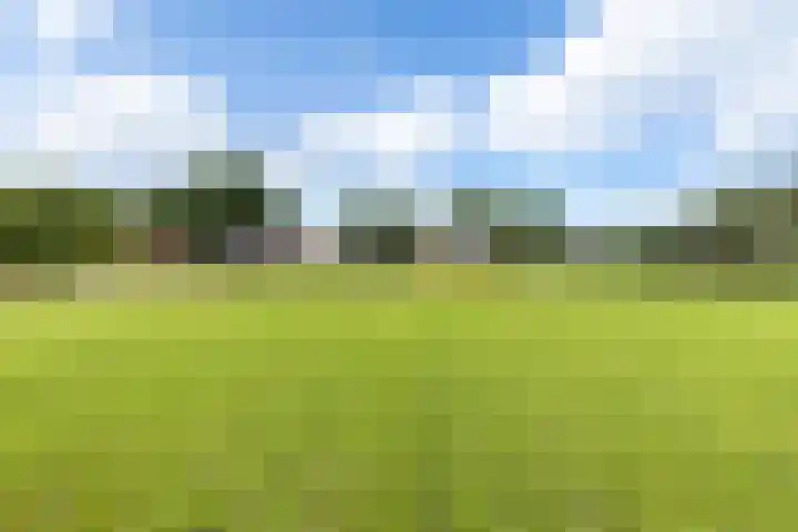 Beetserweg 100 Sellingen thumbnail 39
