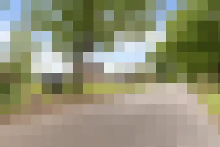 Beetserweg 100 Sellingen thumbnail 4