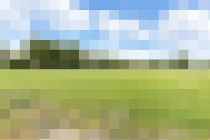 Beetserweg 100 Sellingen thumbnail 40