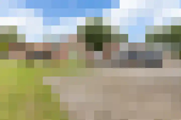 Beetserweg 100 Sellingen thumbnail 41