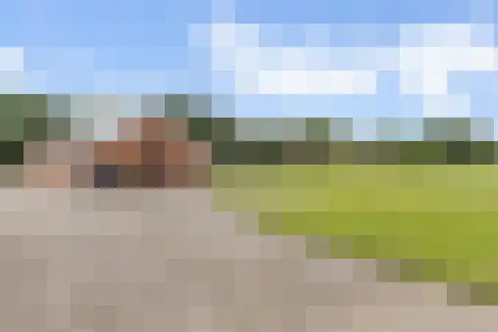 Beetserweg 100 Sellingen thumbnail 42