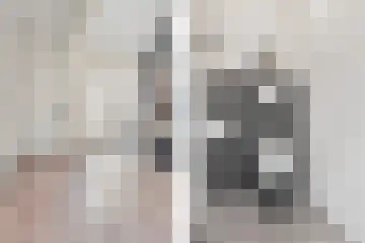 Beetserweg 100 Sellingen thumbnail 5