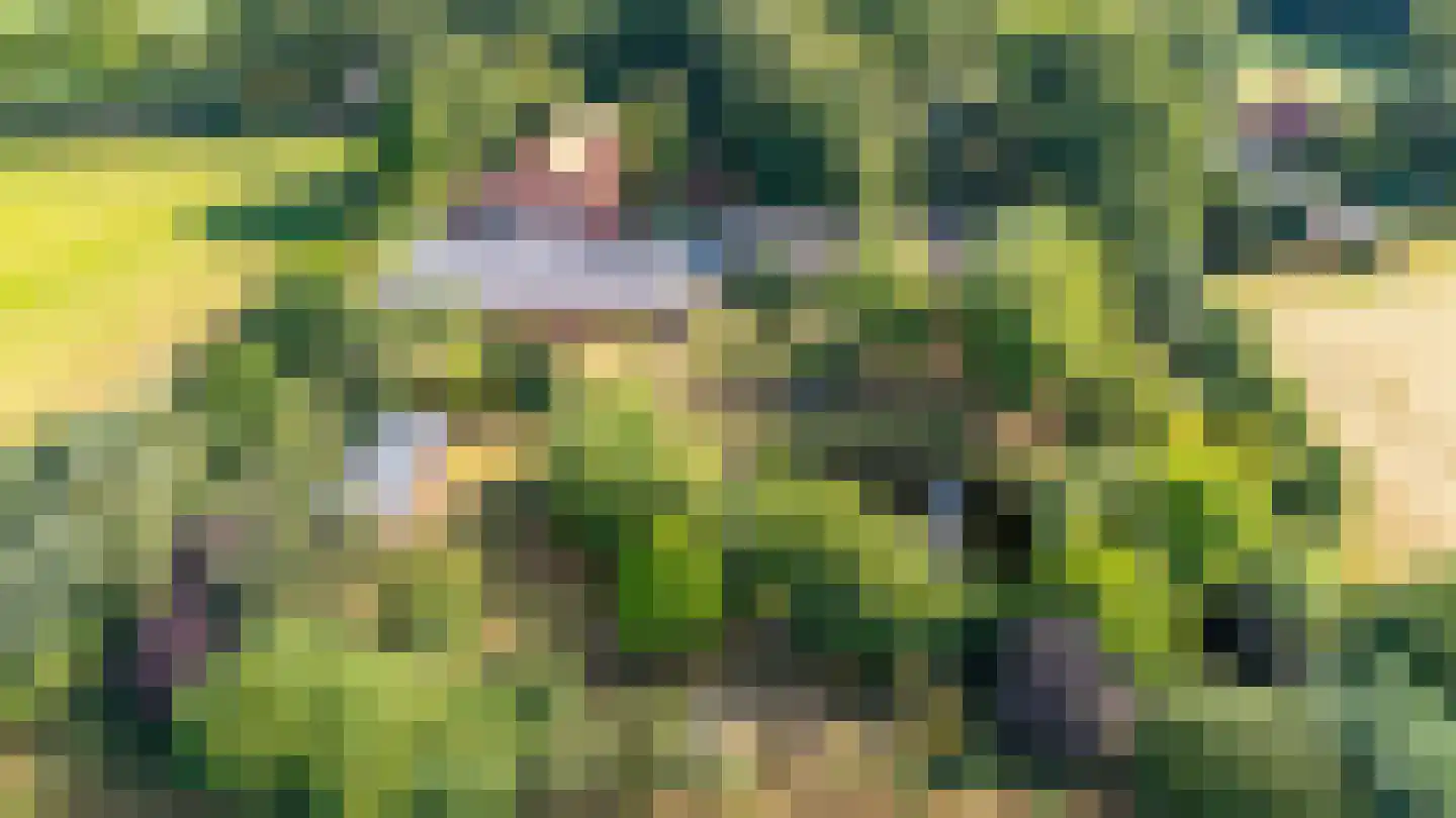 Beetserweg 36 Sellingen thumbnail 11