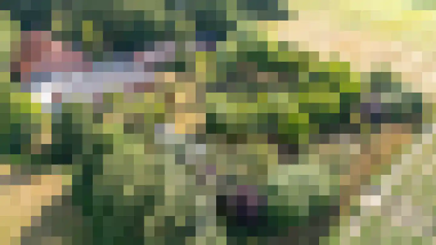 Beetserweg 36 Sellingen thumbnail 12