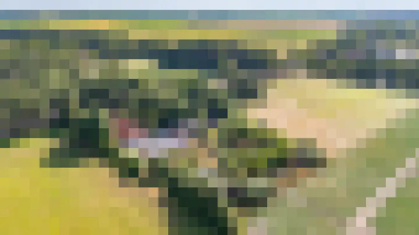 Beetserweg 36 Sellingen thumbnail 13