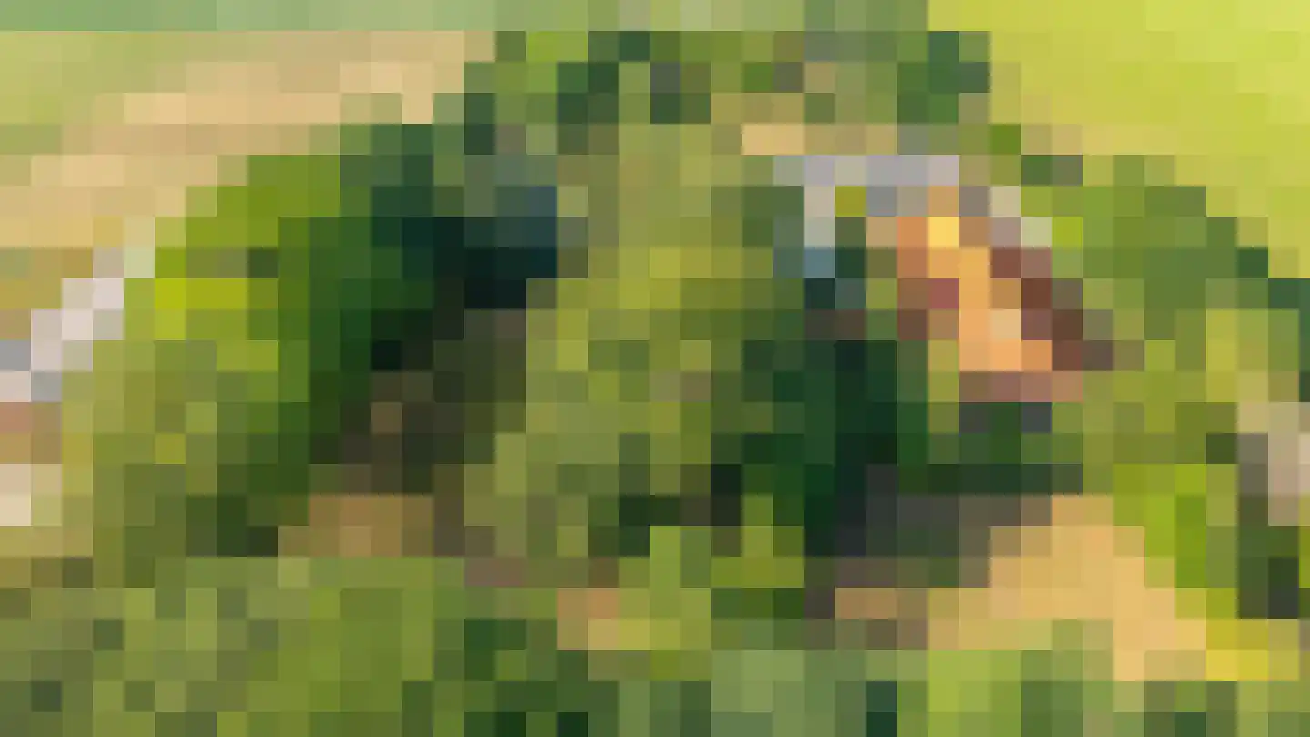 Beetserweg 36 Sellingen thumbnail 14