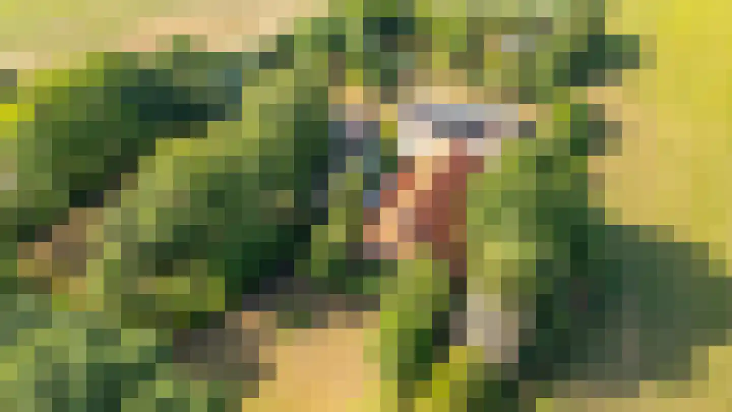Beetserweg 36 Sellingen thumbnail 15