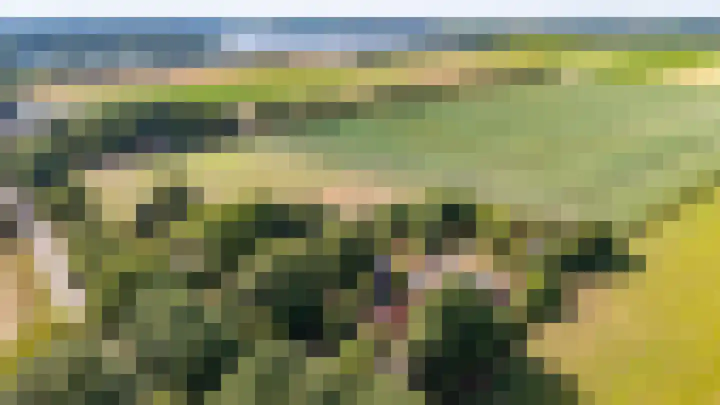 Beetserweg 36 Sellingen thumbnail 16